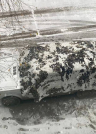 Маскировочное полотно «МАСК»